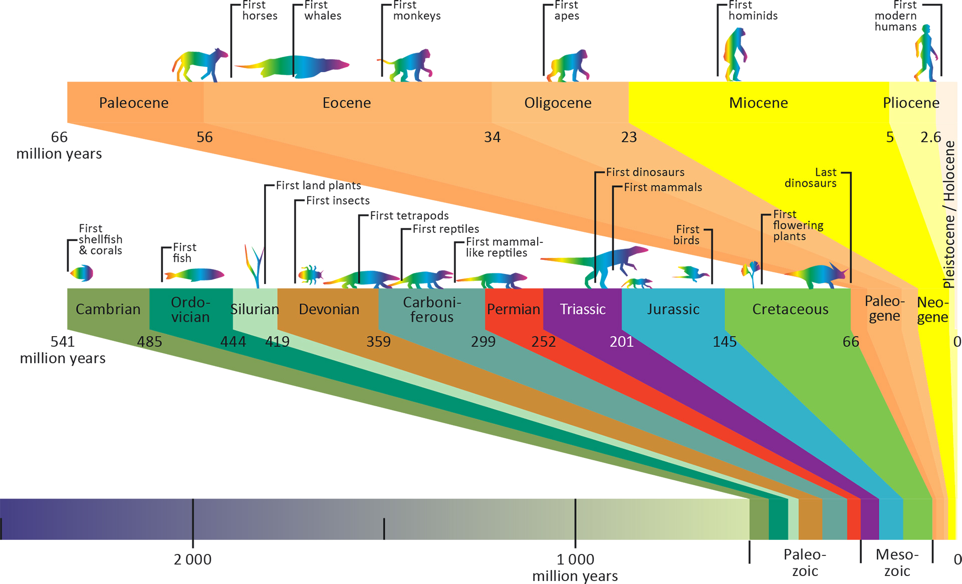The geological timeline