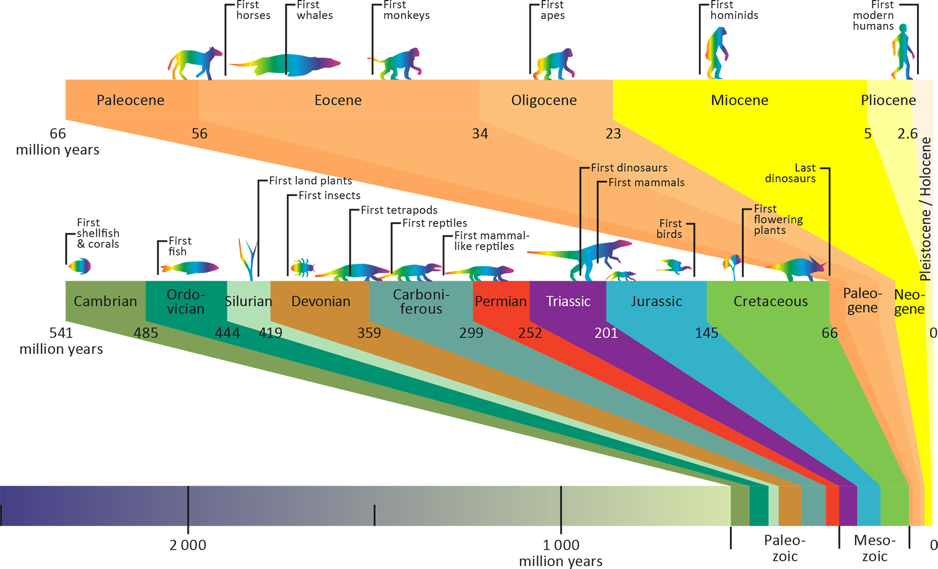 Petroleum formation/how petroleum is formed/extraction and