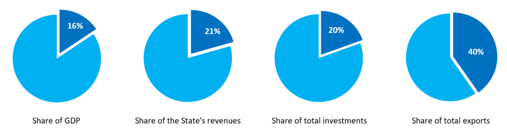 Macroeconomic indicators for the petroleum sector, pie chart