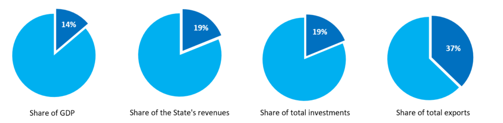 Macroeconomic indicators for the petroleum sector 20XX, pie chart.