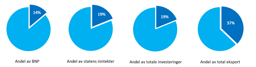 Makroøkonomiske indikatorer 2020, kakediagram.