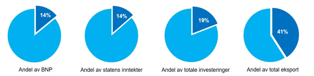 Makroøkonomiske indikatorer 2021, kakediagram.